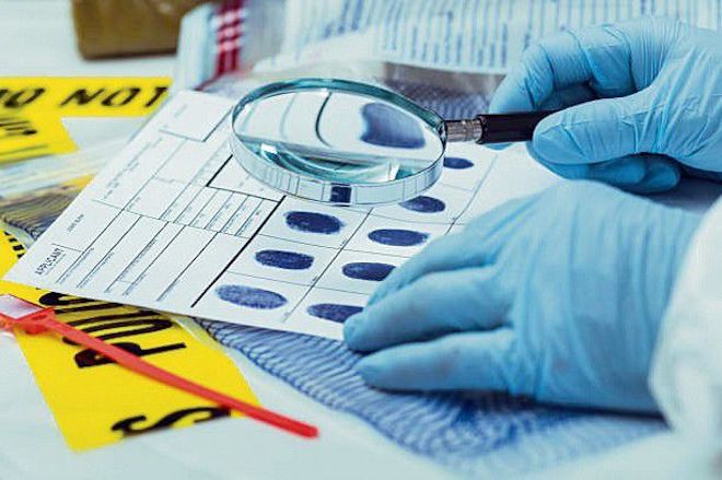 Government, Gujarat institute join hands to bolster forensic sciences